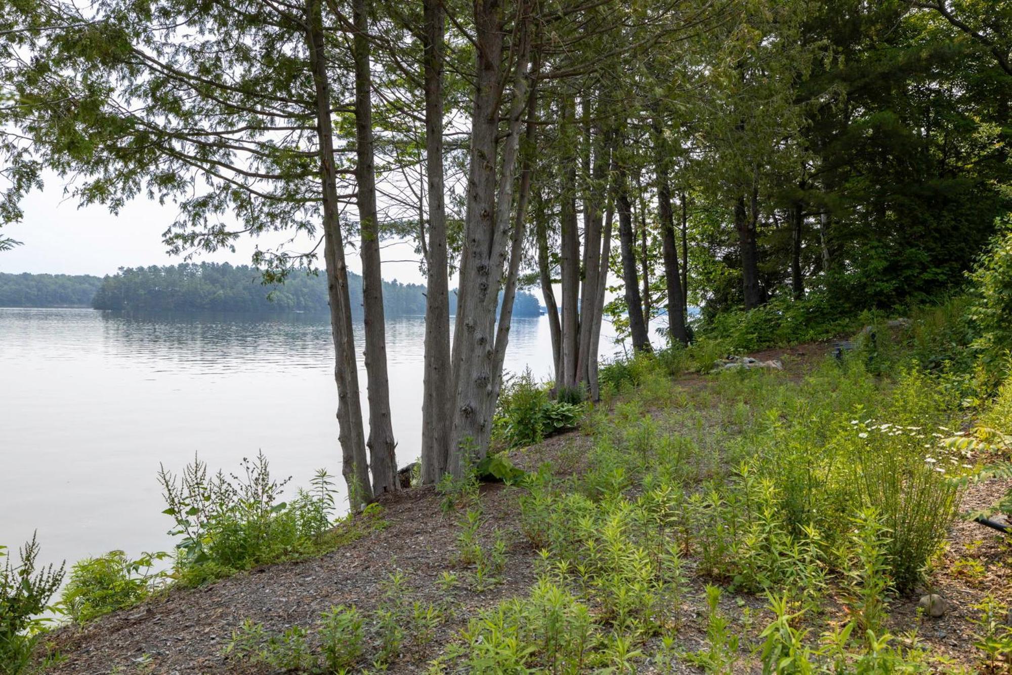 Tranquil Shores Mactier Екстер'єр фото
